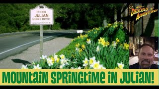 Mountain Springtime in Julian - FREE Live-Streaming Virtual Tour - PROMO