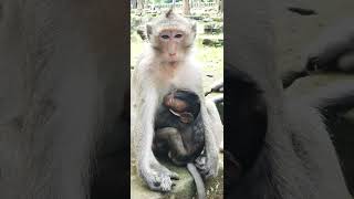 her child sleep weel #child #sleep #monkey