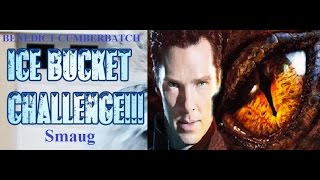 The Hobbit 'the Iced bucket challenge' - Benedict Cumberbatch