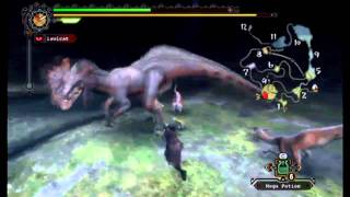 Monster Hunter Tri: First Solo Great Jaggi hunt!