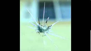 Best Windshield Chip Repair Murfreesboro TN