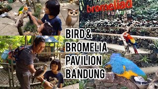 Bird & Bromelia Pavilion Bandung |  Taman Burung Pertama di Bandung | The Bird Can Talk