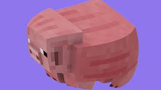 PIG SOUND *EARRAPE*