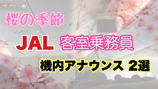 桜の季節のJAL CAさんの機内アナウンスが秀逸過ぎる！  日本航空 客室乗務員アナウンス