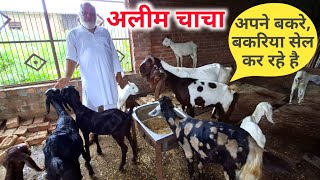 अलीम चाचा अपने बकरे बकरियां सेल कर रहे है |Lucknow Goats |Dubagga Lucknow