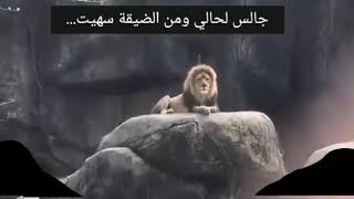 قصيدة الصحب