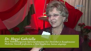 Dr. Hegyi Gabriella riport / Magyar-Kínai konferencia 2015.11.30.