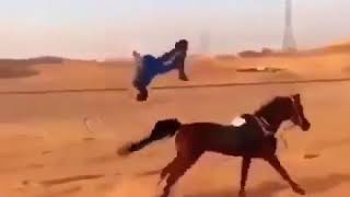 الخيل من خيالها ما شاء الله تبارك الرحمن أصغر فارس و أسرع حصان