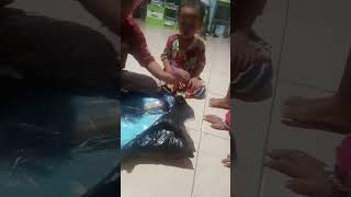 Unboxing kolam renang balon#Shorts#