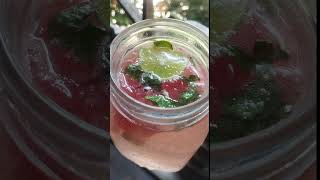 Watermelon Mojito | Watermelon Mojito with Sprite | Easy Mojito Recipe