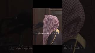 و لا تحسبن الذين قتلو في سبيل الله امواتاً / محمد اللحيدان