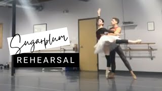 Sugarplum Working Rehearsal with Sean Rollofson | Day in the Life | Nutcracker Prep | Kathryn Morgan