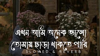 এখন আমি অনেক ভালো তোমায় ছাড়া থাকতে পারি | Ekhon Ami | Slowed & Reverb | Sr Lofi Vibes