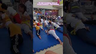 STRETCHING /SPLIT EXERCISES TAEKWONDO TRAINING #andrea #taekwondo #stretchingexercises