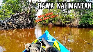 Casting Gabus di Hutan Rawa Kalimantan • Healing Sambil Mancing.