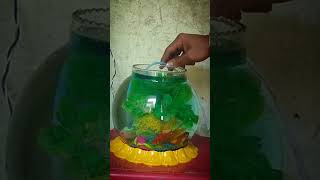 Aquarium Bowl Jar Set-up Step by Step || How to Setup Bowl Jar || Aquarium Setup #aquriamfish #short