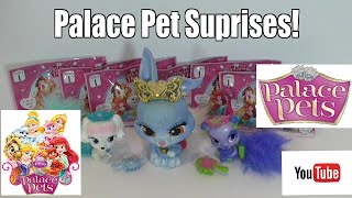 Disney Palace Pet Surprise Blind Bag Opening!