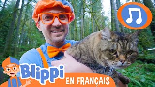 Respectons Notre Terre | 🎵Blippi en Français -  Chansons pour enfants