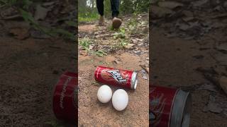 Bushcraft SKILLS 🥚💧#survival #outdoors #camping #lifehacks