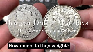 HOW MUCH SHOULD A MORGAN DOLLAR WEIGHT - “MORGAN DOLLAR MONDAYS” with MASSABESIC GOLD and SILVER