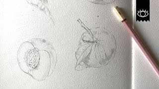 Vintage Peach Pencil Drawing Step by Step Tutorial - Part 1 | L'oeil