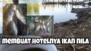 membuat hotelnya ikan nila di sungai brantas