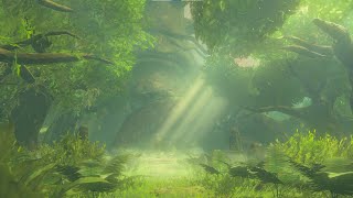 Zelda Breath of the Wild │ ASMR / Sleep Aid │ Korok Forest ambience