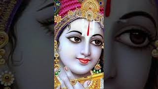 ❤️ ( घनश्याम तेरी मुरली पागल )🌼❤️#Whatsapp Status🙏#subscribe #radhakrishna #shorts #shortsvideo🌼🌼🌸🌸