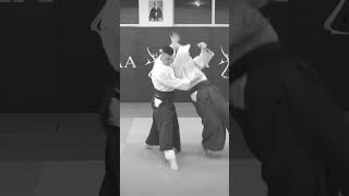 Budo Essential Ingredient #aikido  #selfdevelopment