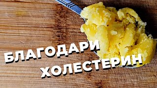 Благодари холестерин. Для чего нужен холестерин? Функции холестерина.