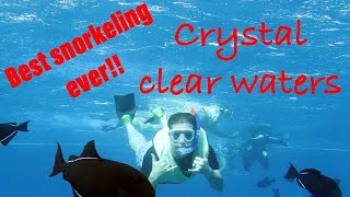 Hawaii Vlog Part3!! Best Snorkeling Ever In Crystal Clear Waters!!