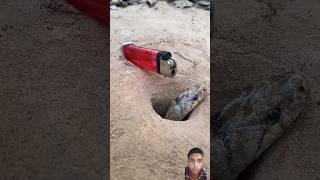 Beautiful snake in hole #shorts #viral #muskempire