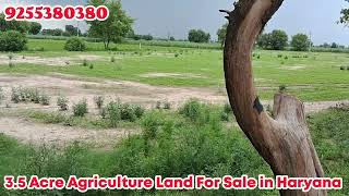 17 bigha agriculture land for sale in haryana | 9255380380 | #sale