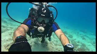 Underwater diving - Seagull Beach Resort, Hurghada , Egypt