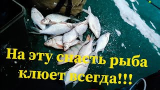 На эту снасть рыба клюет всегда!!!