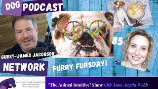 Dog Podcast Network 🐕Can Dogs Unite Us?  / Cancer Care | Ep 85