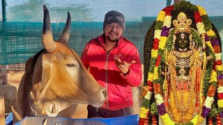 प्राण प्रतिष्ठा से पहले झूमर को दिखे प्रभु श्री राम😱😱😱#baawalechorevlogs #rammandir #cowvlog