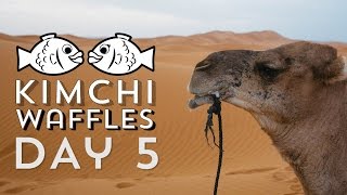 THE SAHARA ADVENTURE || KIMCHI WAFFLES TOUR 2016 || Day 5