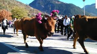 La " Démontagnée " 2016 à Bourg Saint Maurice