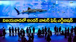 Fish Exhibition In Vijayawada | Underwater fish tunnel expo and exhibition in Vijayawada