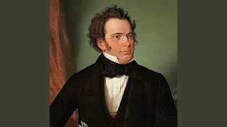 Schubert, SERENADE OP. 134 (Arr. for Violino, Cello and Piano)