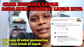 MANCING IKAN MAS || cara ngebina lapak agar ikan betah di lapak kita