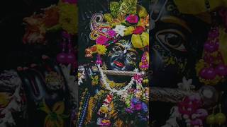 देवकी नन्दन तुमको वंदन | #krishna #janmashtami #status #shorts