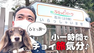 【犬連れランチ】一般道から行ける!ぷらっとパーク 石川パーキングエリア(中央自動車道・上り)で八王子ラーメンを食べよう!東京都八王子市 ペットショップの売れ残りと元保護犬とお出かけ