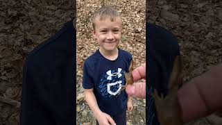 Connor holds first crayfish, learned the hard way! #outdoors #boys #crayfish