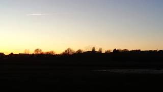 Starlings at Pershore 08122012