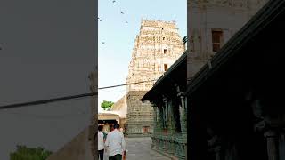 Fly High #dreambig #youtubeshorts #shortvideo #viral #hindutemples