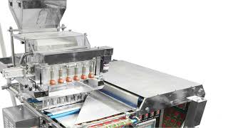 Korea-PnP Partners-Sachet Packaging machine-4 Side sealing-Volumetric