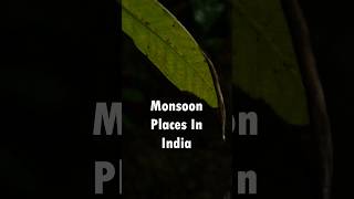 Top #monsoon2023 places to visit in India..Best monsoon travel places in India