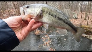 Fishing in heavy rain - Westchester County - As tough as it gets